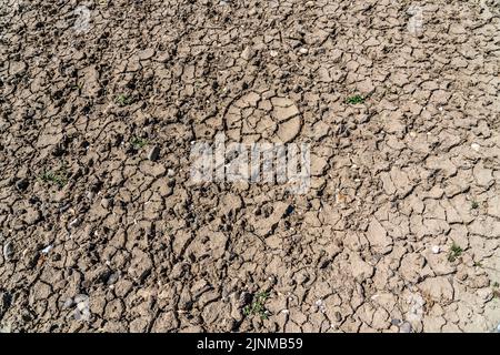 Rhine near Duisburg, extremely low water, Rhine level at 168 cm, tendency falling, after the long drought the right bank of the Rhine falls, near Duis Stock Photo