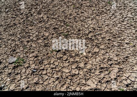 Rhine near Duisburg, extremely low water, Rhine level at 168 cm, tendency falling, after the long drought the right bank of the Rhine falls, near Duis Stock Photo