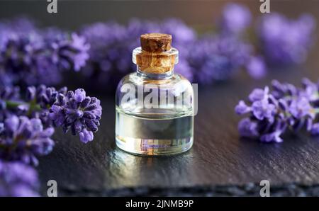 A bottle of aromatherapy essential oil with fresh lavender flowers on black background Stock Photo