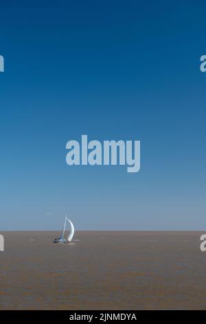Lonely sailboat sailing on the La Plara River, near the horizon with cloudless sky near Colonia del Sacramento, Colonia, Uruguay. The image has copy s Stock Photo