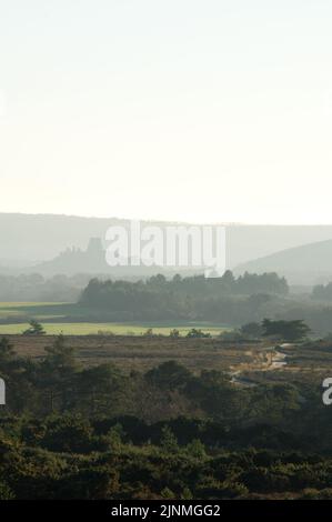 Corfe Castle captured from Arne Stock Photo