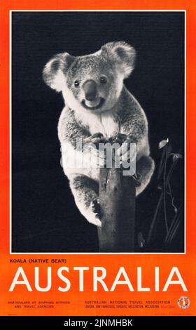 Australian Travel Poster (Australian National Travel Association, 1930s) feat. a black and white photo of a Koala. Stock Photo
