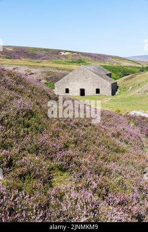 Grinton Smelt Mill remains in Swaledale Stock Photo