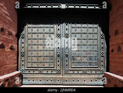 Bronze surface decoration with lions and grid on Golden Gates entrance door in Kyiv Ukraine Stock Photo