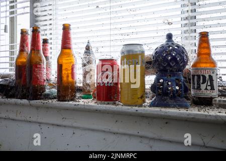 Empty bottles/cans and cobwebs in a filthy apartment living room with lots of clutter inside a hoarder's apartment. This building has since been demol Stock Photo