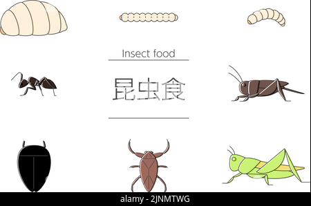 A set of insects that can be eaten by insect food --Translation: Insect food Stock Vector