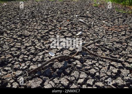 London, UK. 12th August 2022. A completely dry large pond in Wanstead Park in north-east London, as a drought is declared in parts of the UK. Persistent heatwaves resulting from human-induced climate change have impacted much of London, with wildfires and droughts seen across the capital. Stock Photo