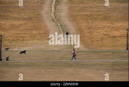 People and dogs walk across a parched Primrose Hill as a drought is declared in parts of England. Persistent heatwaves resulting from human-induced climate change have affected much of London, with wildfires and droughts seen across the capital. Stock Photo