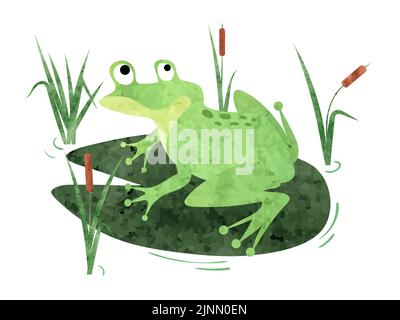 Cartoon Frog sitting on lily pad. Vector watercolor illustration. Stock Vector