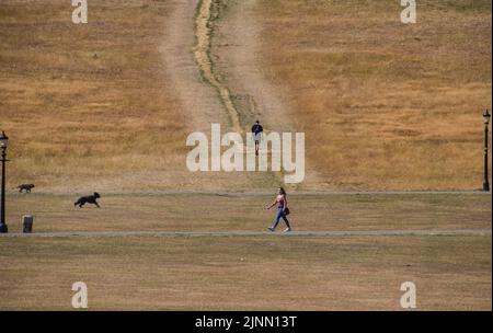 London, UK. 12th Aug, 2022. People and dogs walk across a parched Primrose Hill as a drought is declared in parts of England. Persistent heatwaves resulting from human-induced climate change have affected much of London, with wildfires and droughts seen across the capital. (Credit Image: © Vuk Valcic/SOPA Images via ZUMA Press Wire) Credit: ZUMA Press, Inc./Alamy Live News Stock Photo