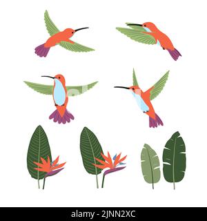 Set of cute cartoon hummingbirds and strelitzia . Vector collection of tropical birds and plants. Stock Vector