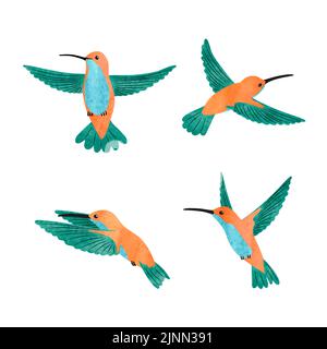 Cute hummingbird set. Vector watercolor illustration of small tropical birds. Stock Vector