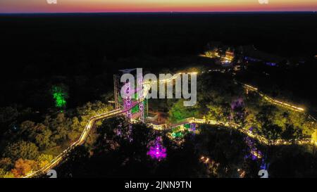Germany. 12th Aug, 2022. 12 August 2022, Brandenburg, Beelitz-Heilstätten: The drone shot shows the light installations for the 'Long Nights at the Treetop Trail' campaign in Beelitz-Heilstätten. Various artists and musicians play for the visitors in the fabulously illuminated park. Photo: Gerald Matzka/dpa/ZB Credit: dpa picture alliance/Alamy Live News Stock Photo
