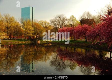 The John Hancock Building in Boston rises over the blooming cherry blossom trees and reflected in the waters of the Charles River Esplanade in spring Stock Photo