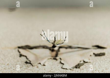 Trinwillershagen, Deutschland. 05th May, 2022. Cables hang out of the wall in Trinwillershagen, May 5th, 2022. Credit: dpa/Alamy Live News Stock Photo