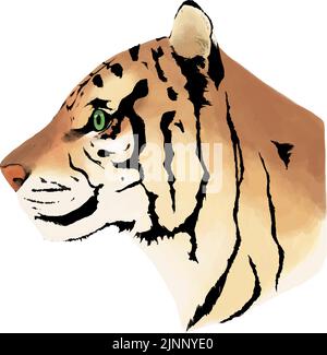 Profile of a tiger, hand-painted realistic touch. Stock Vector