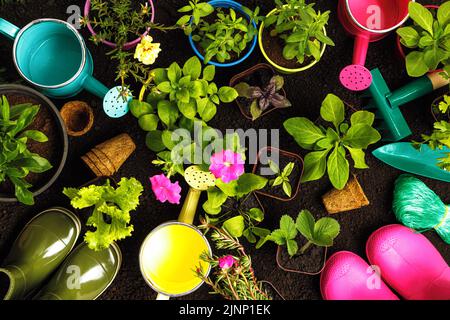 Vector Ranunculus Garden in spring background. Planting tree in spring. Cultivate ...