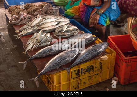 Panaji Goa India April 9 2022: Fisher woman selling Freshly caught fish in local Panjim market in Goa India Stock Photo