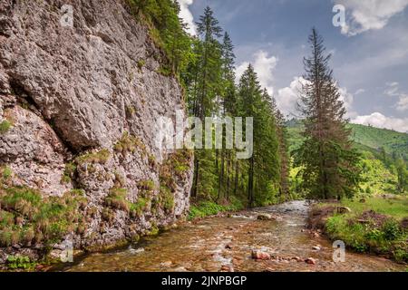 Small river in Koscieliska valley in summer Tatra Mountains, Poland Stock Photo