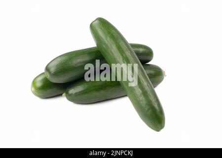Fresh cucumbers isolated on bright background. Close up view. Stock Photo