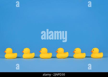 Yellow rubber ducks in a row on blue background with copy space Stock Photo