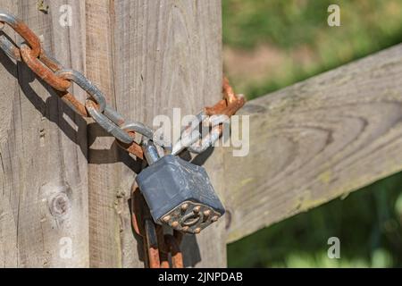 Squire key-opened padlock & chain securing a wooden farm gate. For supply chain, data security, identity, secure online payments, Covid lockdown UK. Stock Photo