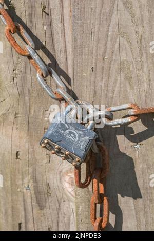 Squire key-opened padlock & chain securing a wooden farm gate. For supply chain, data security, identity, secure online payments, Covid lockdown UK. Stock Photo