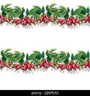 Watercolor seamless pattern with branch of Dog rose, hiprose, red berries and green leaves.  Hip rose seammless pattern on white background. Stock Photo