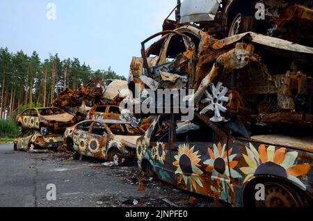 Non Exclusive: IRPIN, UKRAINE - AUGUST 11, 2022 - Sunflowers painted by artists are seen on the cars shot by the Russians during Russia's full-scale i Stock Photo