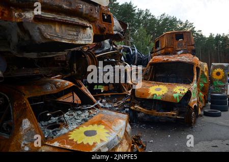 Non Exclusive: IRPIN, UKRAINE - AUGUST 11, 2022 - Sunflowers painted by artists are seen on the cars shot by the Russians during Russia's full-scale i Stock Photo