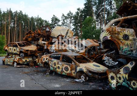 Non Exclusive: IRPIN, UKRAINE - AUGUST 11, 2022 - Sunflowers painted by artists are seen on the cars shot by the Russians during Russia's full-scale i Stock Photo