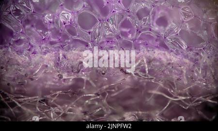 Macro image of a purple colored syntetic household sponge. Stock Photo
