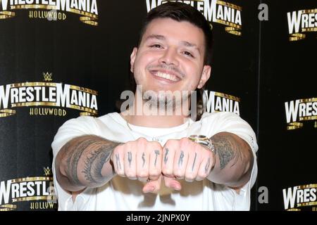 August 11, 2022, Los Angeles, CA, USA: LOS ANGELES - AUG 11: Dominik Mysterio at the WrestleMania Launch Party at SoFi Stadium on August 11, 2022 in Los Angeles, CA (Credit Image: © Kay Blake/ZUMA Press Wire) Stock Photo