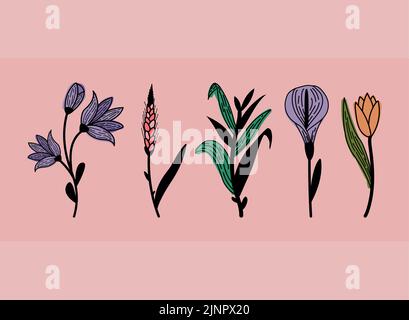 five flowers garden icons Stock Vector