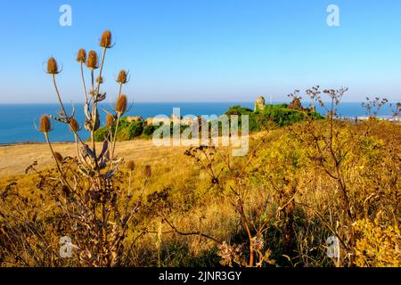 Drought conditions, Hastings Castle, Ladies Parlour, East Sussex, UK Stock Photo