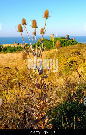 Drought conditions, Hastings Castle, Ladies Parlour, East Sussex, UK Stock Photo