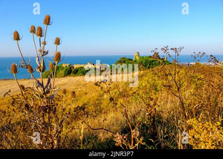 Drought conditions, Hastings Castle, Ladies Parlour, East Sussex, UK Stock Photo