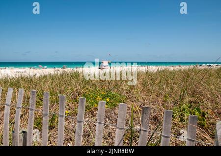 Overview of Miami south beach with dunes and wild vegetation, protected by a wooden fence Stock Photo
