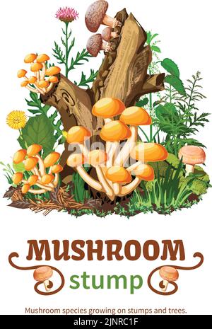 Vector illustration of wild mushroom species growing on stumps and trees with honey fungus shiitake and forest flowers in cartoon style Stock Vector