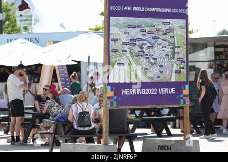 Herning, Denmark. 13th Aug, 2022. Equestrian sport, world championship, show jumping. Visitors sit behind an overview map of the event site. Credit: Friso Gentsch/dpa/Alamy Live News Stock Photo