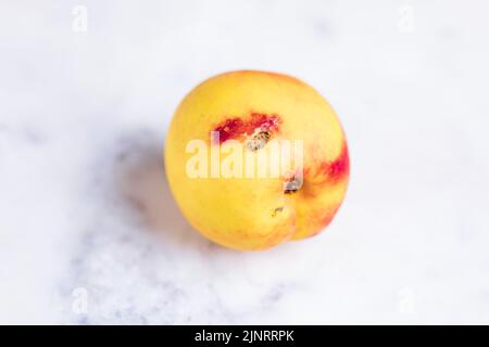 Apricot on White Marble Background Stock Photo