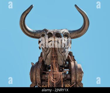 Detail of the 10 metre high raging bull from the 2022 Commonwealth Games opening ceremony, now a tourist attraction. Isolated against a blue sky. Stock Photo