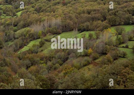 Green pastures surrounded by native forest in Serra do Courel, Galicia, Spain Stock Photo