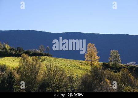 Green pastures in the mountain, autumn landscape Stock Photo