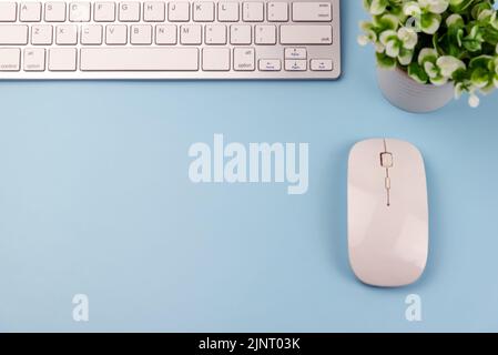 Computer keyboard and mouse on top of blue background desk with potted plant Stock Photo