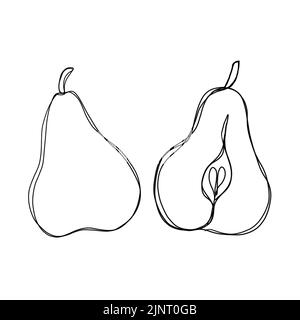 Pear fruit in continuous line art drawing style. Minimalist black line ...