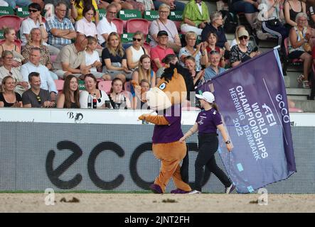 Herning, Denmark. 13th Aug, 2022. Equestrian sport, horse riding, world championship. The official mascot Henri runs over the course. Credit: Friso Gentsch/dpa/Alamy Live News Stock Photo