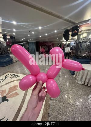 pink dog made from a balloon in a restaurant. Stock Photo