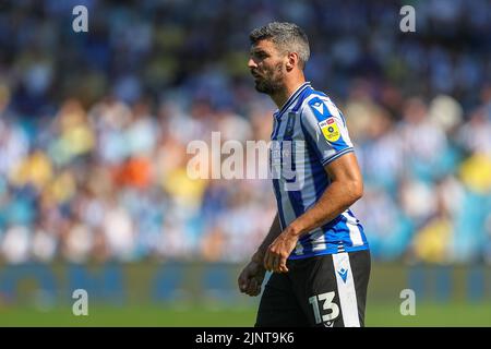 Sheffield, UK. 13th Aug, 2022. Callum Paterson #13 of Sheffield Wednesday during the game in Sheffield, United Kingdom on 8/13/2022. (Photo by Gareth Evans/News Images/Sipa USA) Credit: Sipa USA/Alamy Live News Stock Photo