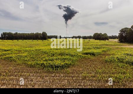 The Jaenschwalde coal-fired power plant can be seen behind partly dried-up sunflowers in Dissen-Striesow, July 28, 2022. According to the federal government's timetable for phasing out coal, the last block of the power plant is to be shut down by the end of 2028. In addition to Boxberg and Schwarze Pumpe, Jaenschwalde is one of three power plants in Lusatia whose economic infrastructure is largely dependent on coal production. Stock Photo